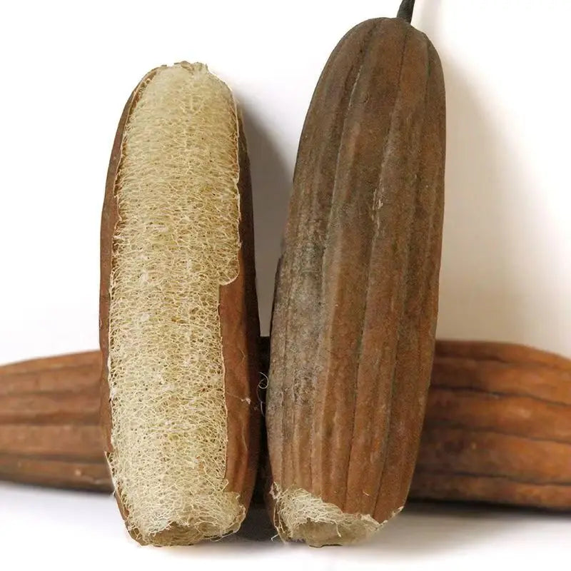 Eco-friendly A Whole Natural Loofah with Peel Loofah Sponge for Household Cleaning tool Natural Shower Loofah Sponge Scrubber